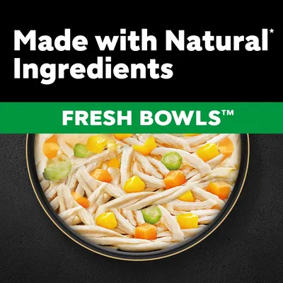 Cesar Fresh Bowls in Gravy 10 x 85g - Chicken with Carrots, Green Beans & Pumpkin Cesar Fresh Bowls in Gravy 10 x 85g - Chicken with Carrots, Green Beans & Pumpkin