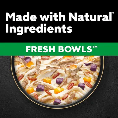 Cesar Fresh Bowls in Gravy 10 x 85g - Duck with Red Rice, Carrots & Purple Potatoes