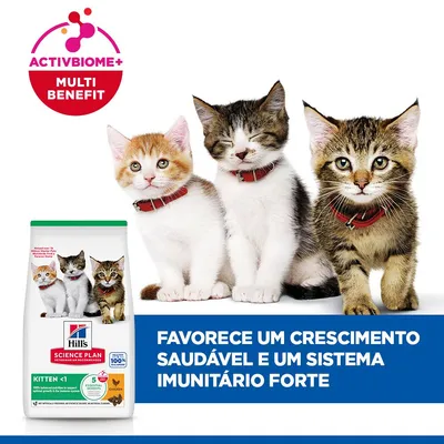 Hill's Science Plan Kitten frango ração para gatinhos