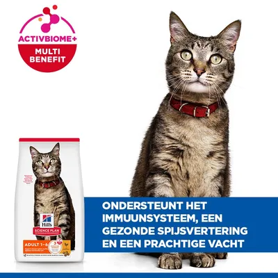 Hill's Science Plan Adult 1-6 Optimal Care Kattenvoer met Kip