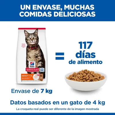 Hill's Science Plan Adult cordero y arroz