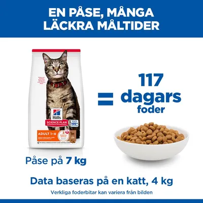 Hill's Science Plan Adult Lamb & Rice