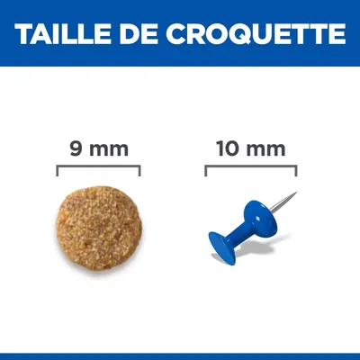 Comparaison de la taille des croquettes : une croquette de 9 mm de diamètre à côté d'une punaise de 10 mm de diamètre. Comparaison de la taille des croquettes : une croquette de 9 mm de diamètre à côté d'une punaise de 10 mm de diamètre.