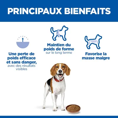 Principaux avantages : perte de poids efficace et sûre, maintien du poids à long terme, préservation de la masse corporelle maigre. Chien représenté à côté de la gamelle. Principaux avantages : perte de poids efficace et sûre, maintien du poids à long terme, préservation de la masse corporelle maigre. Chien représenté à côté de la gamelle.
