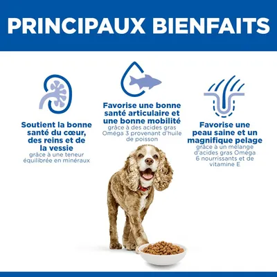 Hill's Science Plan Senior 11+ Small & Mini poulet