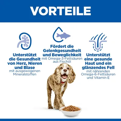 Hill's Science Plan Senior 11+ Small & Mini mit Huhn