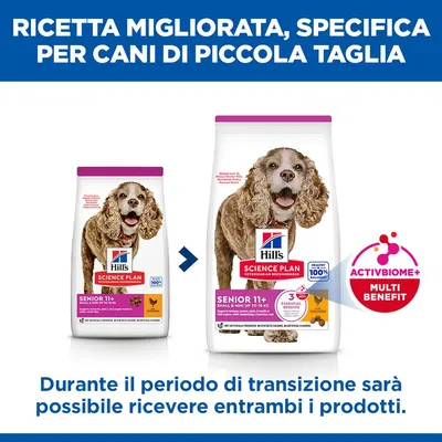 Hill's Science Plan Senior 11+ Small & Mini con Pollo