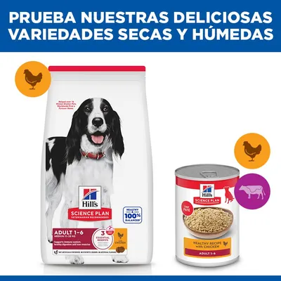 Hill's Science Plan Adult 1-6 Medium con pollo