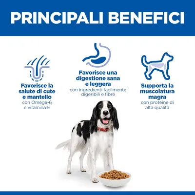 Hill's Science Plan Adult 1-6 Medium con Pollo