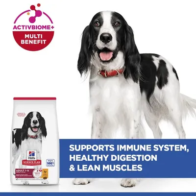 Hill’s Science Plan Adult 1-6 Medium with Chicken