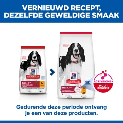 Hill's Science Plan Adult 1-6 Medium met Kip Hondenvoer
