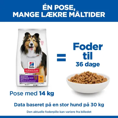Hill's Science Plan Sensitive Stomach & Skin Adult 1+ Medium med kylling