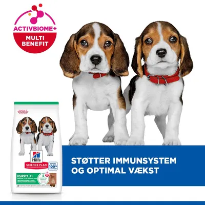 Hill's Science Plan Puppy <1 Medium med lam & ris Hill's Science Plan Puppy <1 Medium med lam & ris