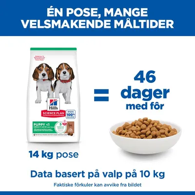 Hill's Science Plan Puppy <1 Medium med lam & ris
