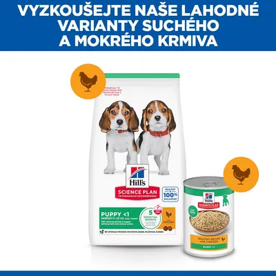 Hill's Science Plan Puppy <1 Medium kuracie