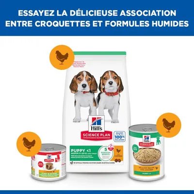 Hill's Science Plan Puppy <1 Medium Poulet