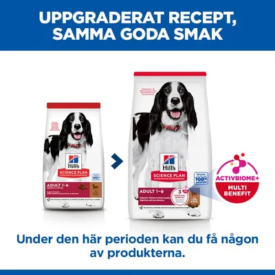 Hill's Science Plan Adult 1-6 Medium Lamb & Rice