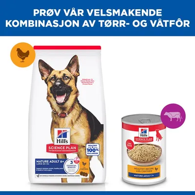 Hill's Science Plan Mature Adult 6+ Large med kylling