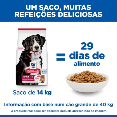 Hill's Science Plan Adult 1-5 Large com cordeiro e arroz