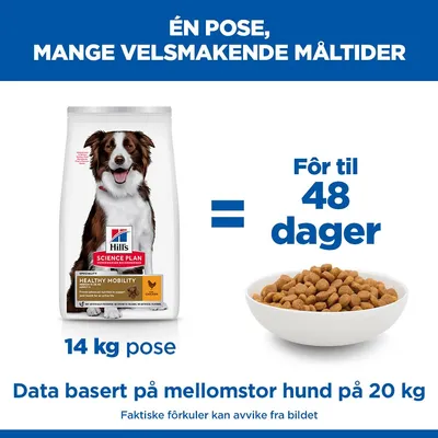 Hill's Science Plan Healthy Mobility Adult 1+ Medium med kylling