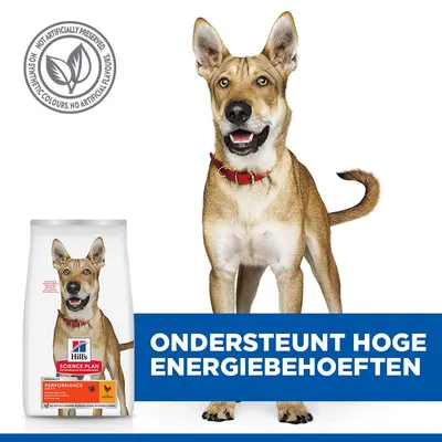 Hill's Science Plan Adult 1+ Performance poulet pour chien Hill's Science Plan Adult 1+ Performance poulet pour chien