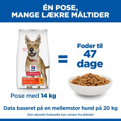 Hill's Science Plan Adult 1+ Performance med Kylling
