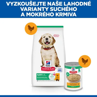 Hill's Science Plan Puppy <1 Large s kuracím