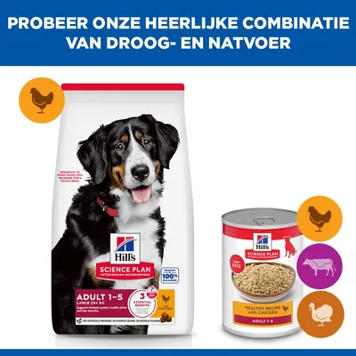 Hill's Science Plan Adult 1-5 Large poulet pour chien