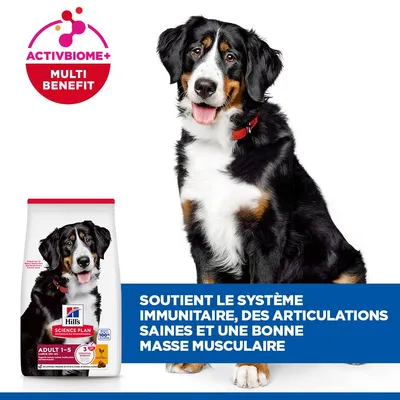 Hill's Science Plan Adult 1-5 Large poulet pour chien