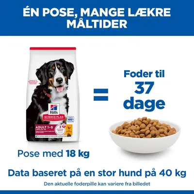 Hill's Science Plan Adult 1-5 Large Kylling