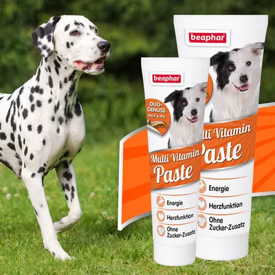 beaphar Multi Vitamin Paste per cani, testo visibile: DUO-GENUSS HAUT & FELL, Energie, Herzfunktion, Ohne Zucker-Zusatz. Due tubi con immagine di cane su sfondo prato.
