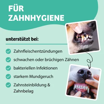 Für Zahnhygiene: unterstützt bei Zahnfleischentzündungen, schwachen oder brüchigen Zähnen, bakteriellen Infektionen, starkem Mundgeruch, Zahnsteinbildung und Zahnbelag. Für Zahnhygiene: unterstützt bei Zahnfleischentzündungen, schwachen oder brüchigen Zähnen, bakteriellen Infektionen, starkem Mundgeruch, Zahnsteinbildung und Zahnbelag.