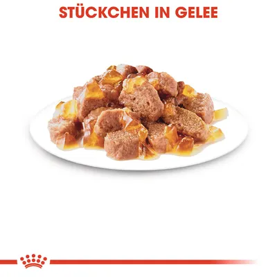 Stückchen in Gelee auf einem weissen Teller, dargestellt mit braunen Fleischstücken und gelber Gelee.