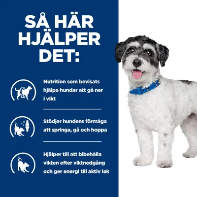 Grafik med text på svenska: Näring hjälper hundar att gå ner i vikt, stödjer rörelse och håller vikten efter viktminskning, ger energi för aktiv lek. Grafik med text på svenska: Näring hjälper hundar att gå ner i vikt, stödjer rörelse och håller vikten efter viktminskning, ger energi för aktiv lek.