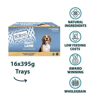 Burns Hearty Lamb mit Karotten und braunem Reis, 16x395g Schalen. Natürliche Zutaten, geringe Fütterungskosten, preisgekrönt, Vollkorn. Für erwachsene und ältere Hunde aller Rassen.