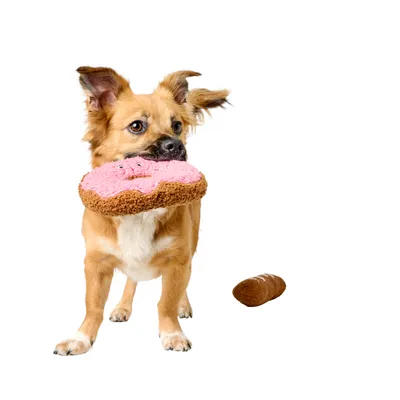 Câine ține în gură o jucărie roz în formă de donut, lângă el se află o jucărie maro în formă de pâine.