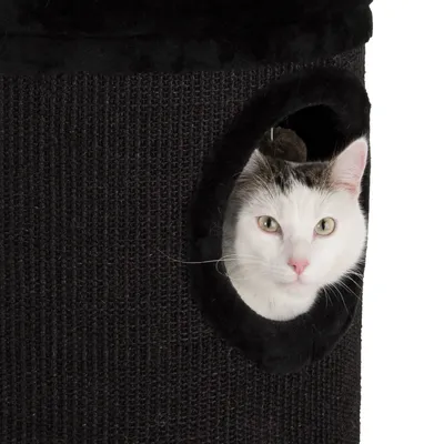 Animal inside a dark cylindrical scratching post with a round entrance, demonstrating use of the product's hideaway feature.