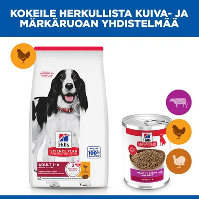 Hill's Science Plan Adult 6 x 370 g