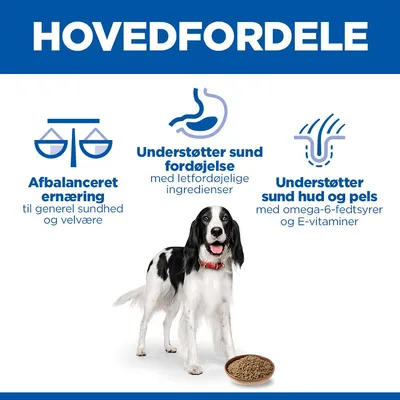 Hill's Science Plan Adult