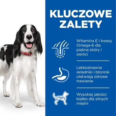 Hill's Science Plan Adult