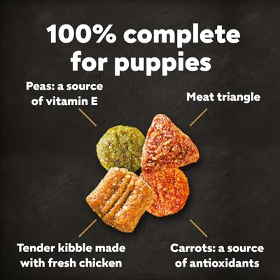 Cesar Junior with Chicken, Rice & Vegetables