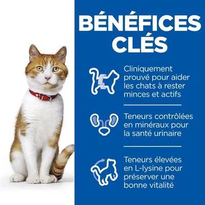 BÉNÉFICES CLÉS : Cliniquement prouvé pour aider les chats à rester minces et actifs, teneurs contrôlées en minéraux pour la santé urinaire, teneurs élevées en L-lysine pour la vitalité.