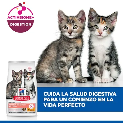 Hill's Science Plan Perfect Digestion Kitten <1 pollo y arroz integral