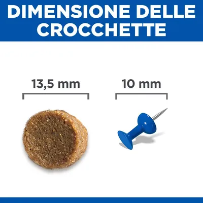 Hill's Science Plan Large Puppy Perfect Digestion Crocchette per cani