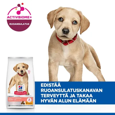 Hill's Science Plan Large Puppy Perfect Digestion