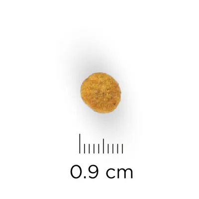 Croquette ronde avec indication de taille : 0,9 cm de diamètre