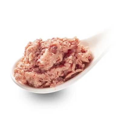 Nahaufnahme von feuchtem Tierfutter auf einem weissen Löffel, zeigt die Konsistenz des Produkts.
