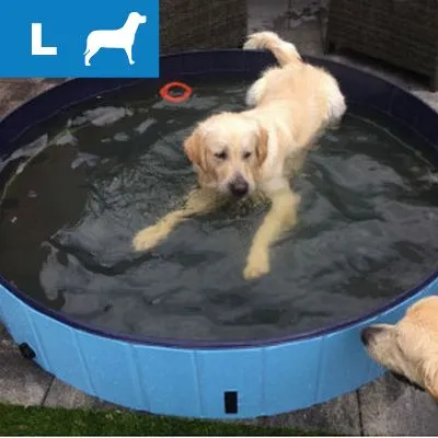 Large blue dog paddling pool with golden retriever inside, another dog at the edge. Blue icon top left shows white dog silhouette and letter L. Large blue dog paddling pool with golden retriever inside, another dog at the edge. Blue icon top left shows white dog silhouette and letter L.
