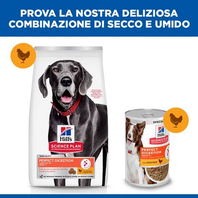 Hill's Science Plan Perfect Digestion Adult Large con Pollo e Riso