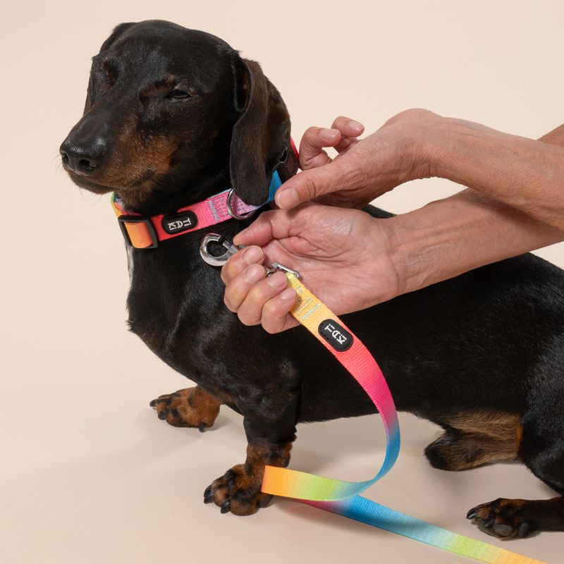 TIAKI Hundeleine Rainbow